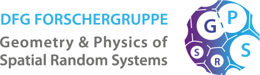 Geometry & Physics of Spatial Random Systems Logo